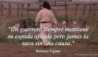 , Baramui Fighter